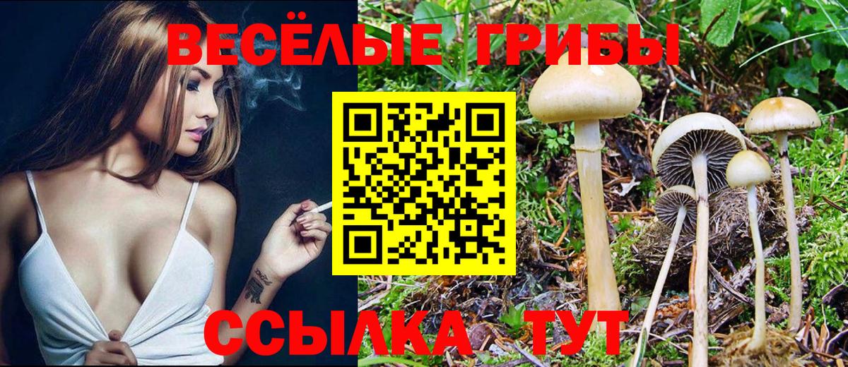 Галлюциногенные грибы ЛСД Заволжье