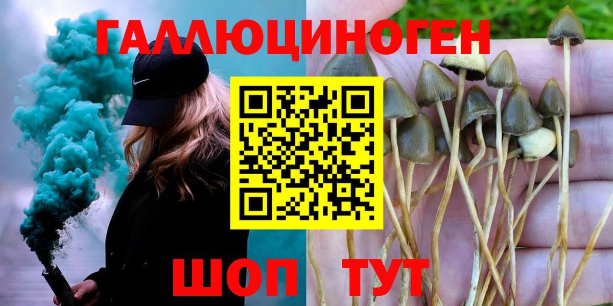 Заволжье  Псилоцибиновые грибы прущие грибы  Вход с VPN 